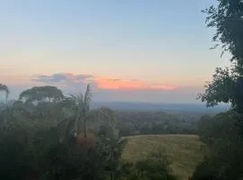 Mountain hideaway Blue Mountains