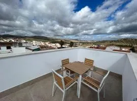 New 1 Bedroom Apartment with Roof Top Terrace