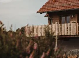 Oberwald Chalets Ferienhaus 2
