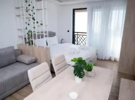 Residence Hill A037 Apartment