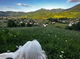Etno Village "Pile"
