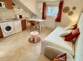 Duplex AGAFAY 4 couchages centre piéton Thonon