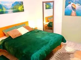 Family Apartments 2 room's centre Mürzzuschlag