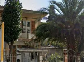 Seldas House