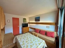 Studio au cœur des Ménuires, animaux admis - FR-1-452-53