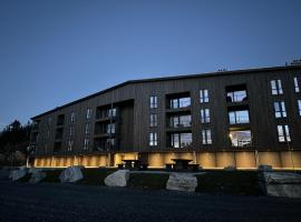 New apartment, Gausta in Rjukan. Ski in/ ski out