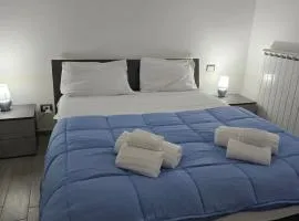 Deluxe apartment Fiumicino near airport, free parking