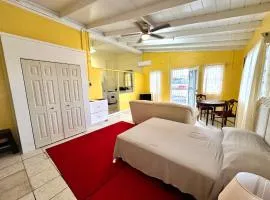 Amber Lily Studio