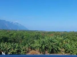 An An Homestay