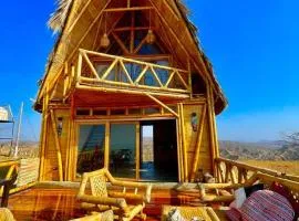 Un encuentro mágico con la naturaleza