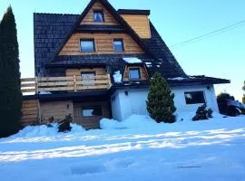 Dom Górski Klimat-Willa 160 m2 z wewnętrzną sauną fińską, zniżki do Term Gorący Potok