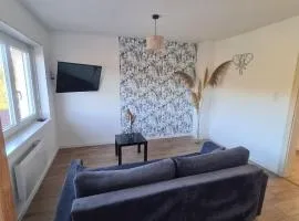 Lumineux appartement F4