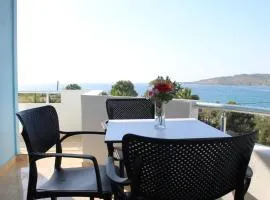 Seli's Vila Ksamil