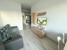 Comfy Palat - 2 rooms - AB HOMES near Palas&Iulius - factura