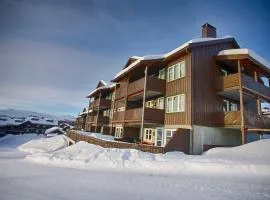 Bright, Open Apartment In Beitostølen