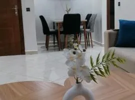 appartement pres de l aéroport de tanger
