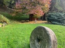 Il Mulino di Valeria