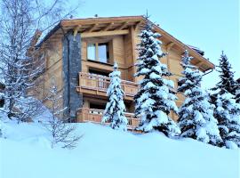 Prestigious Chalet for 18 Guests, Pool & Jacuzzi, close to slopes and resort center, khách sạn ở Montgenèvre