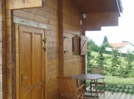CHALET porte PILAT