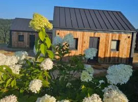 Stodoły w Bieszczadzie domy SPA z basenem i widokiem na góry