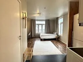 Sentral studioleilighet