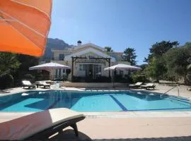 Villa with fabulous Barbeque House