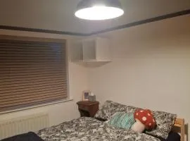 The Burrow