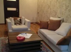 City centre close to Flame Tower 1 bedroom