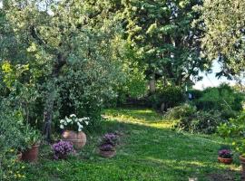 Il casaletto di Simeone, hotel v destinaci Amelia