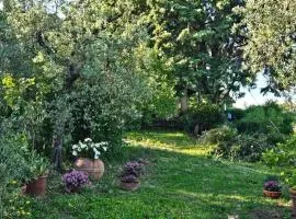 Il casaletto di Simeone