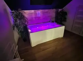 Superbe appartement jacuzzi beaune centre