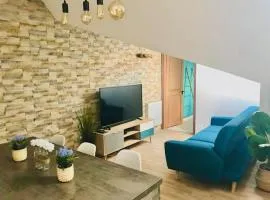 Sous les toits-Hypercentre-Pas de Frais de Ménage