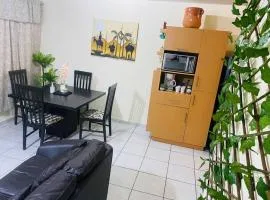 La casa de Anita