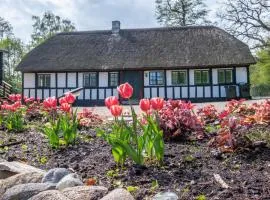 Awesome Home In Ebeltoft With 3 Bedrooms And Internet