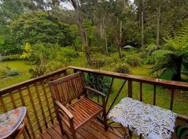 Blue Mountains Studio Retreat, Lyrebird Creek, pet friendly