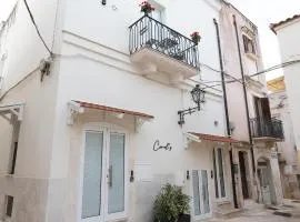 B & B Carol's