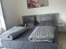 Zwei Zimmer Apartment mit voll ausgestatteter Küche nahe S8 Station