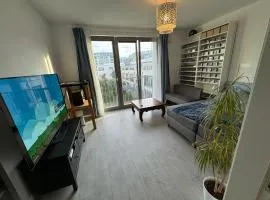 Luxus in Berlin Mitte mit Laptop, großem TV, neuem Bett und privatem Badezimmer
