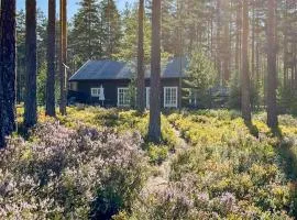 3 Bedroom Cozy Home In Treungen