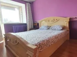 2-х комнатная квартира в центре