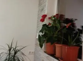 Haus Schliengen