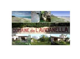 Domaine de l'Avidanella, апартамент в Санта-Лусия-ди-Мориани