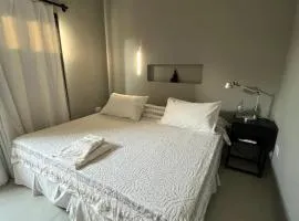 Elegante y confortable Departamento Mitre