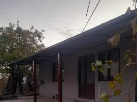 Guesthouse Dedoplistskaro