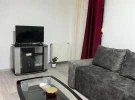 Apartman Gajić