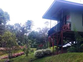 Hospedaje El Paraíso