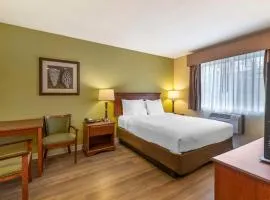Best Western York Inn