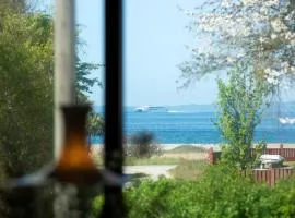 Amazing Home In Knebel With 3 Bedrooms And Wifi