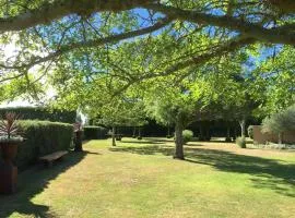 Swallow Gardens