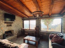 Cozy view Arachova, hotel en Arájova